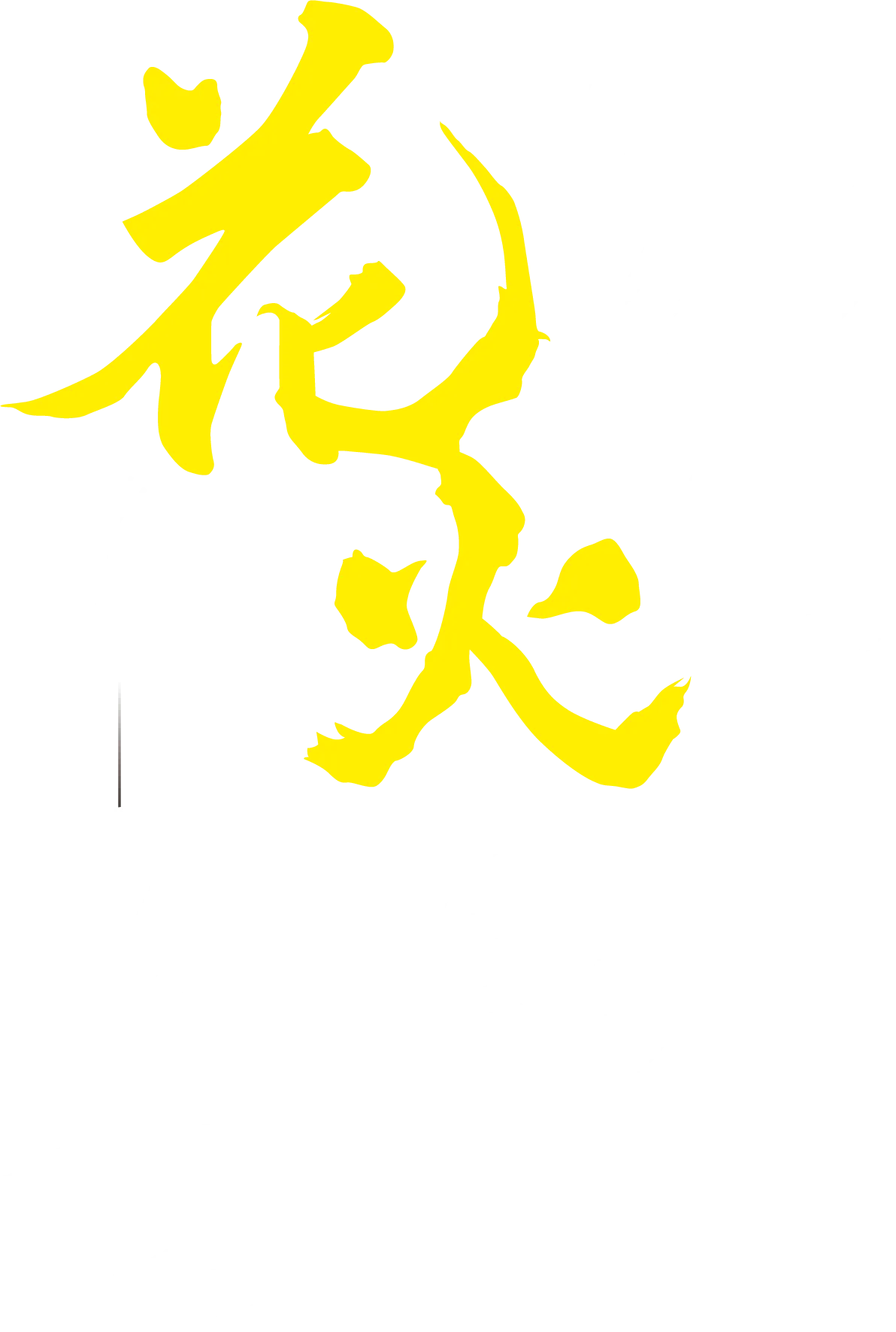 2025ふじさわ江の島花火大会