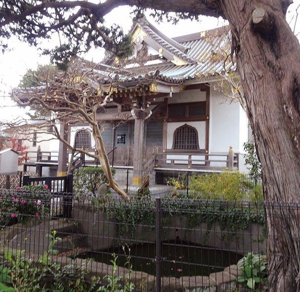 妙隆寺の本堂と行の池