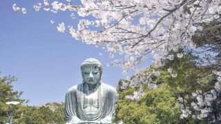 大仏は鎌倉で仏像として唯一の国宝 | 湘南える新聞社