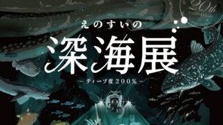 aa938a6d234ef5df6a5d6b14927caa